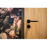 Binnendeur HPL Natural Oak F1079