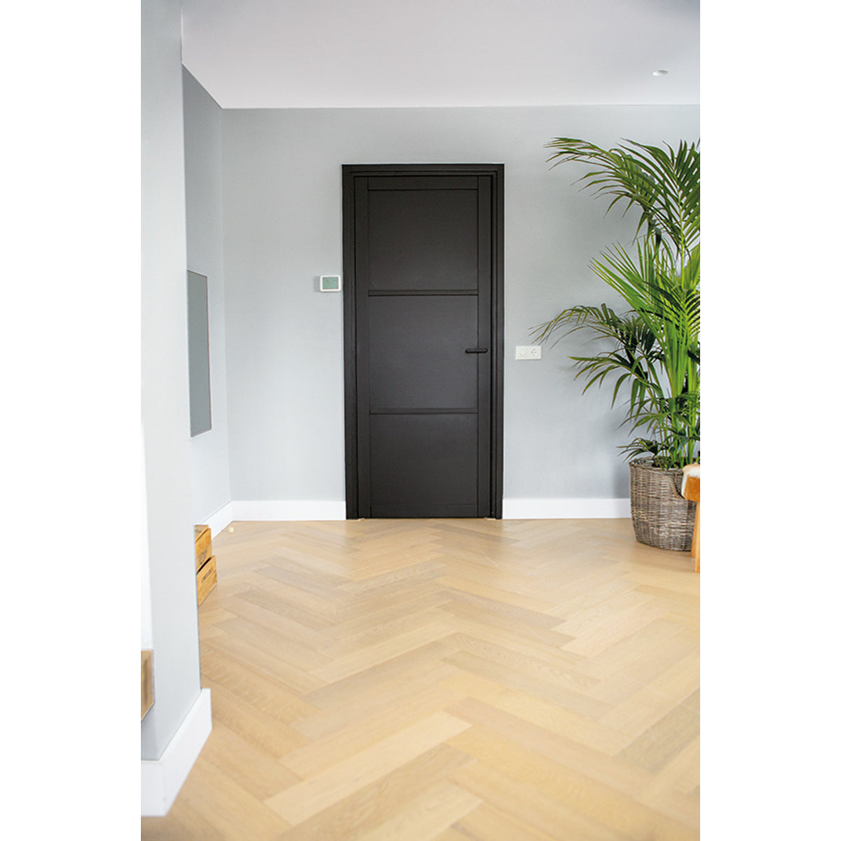 Nero Legno Livorno